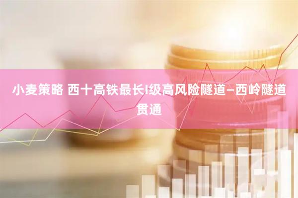 小麦策略 西十高铁最长I级高风险隧道—西岭隧道贯通