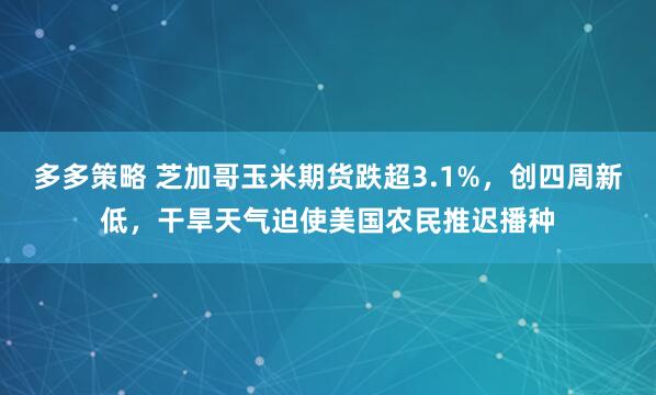 多多策略 芝加哥玉米期货跌超3.1%，创四周新低，干旱天气迫使美国农民推迟播种