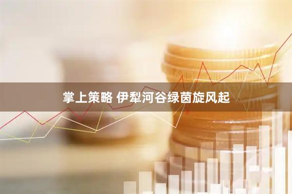 掌上策略 伊犁河谷绿茵旋风起