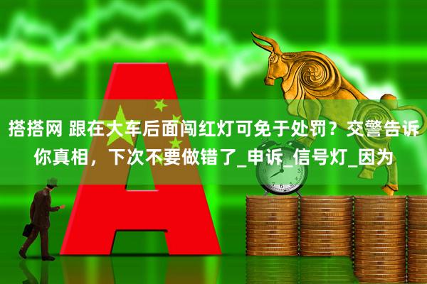 搭搭网 跟在大车后面闯红灯可免于处罚？交警告诉你真相，下次不要做错了_申诉_信号灯_因为