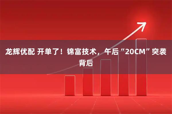 龙辉优配 开单了！锦富技术，午后“20CM”突袭背后