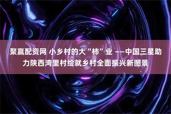 聚赢配资网 小乡村的大“柿”业 ——中国三星助力陕西湾里村绘就乡村全面振兴新图景