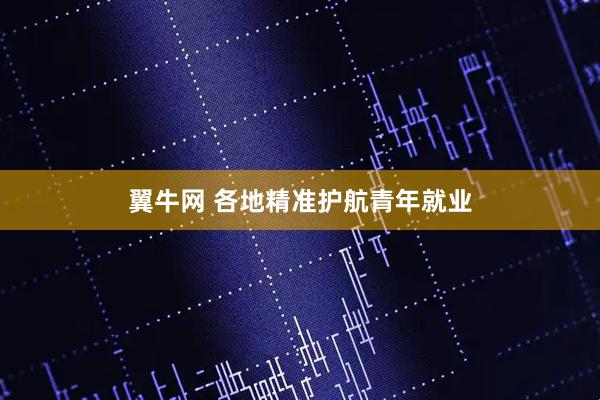 翼牛网 各地精准护航青年就业